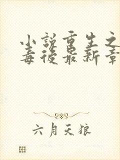 小说重生之将门毒后最新章节