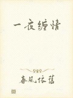 一夜缠情