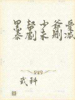 黑帮少爷爱上我泰剧未删减版