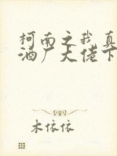 柯南之我真不是酒厂大佬下载txt