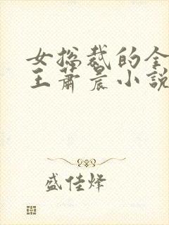 女总裁的全能兵王萧晨小说免费