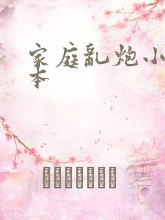 家庭乱炮小说全本