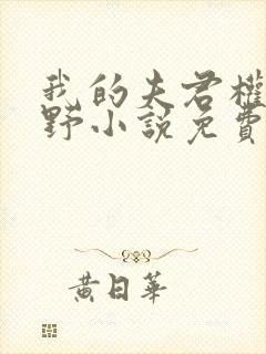 我的夫君权倾朝野小说免费阅读