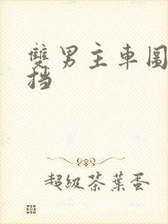 双男主车图无遮挡