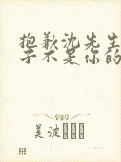 抱歉沈先生,孩子不是你的短剧全集免费