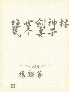 绝世剑神林辰有几个妻子