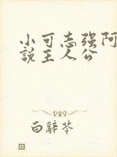 小可志强阿梅小说主人公