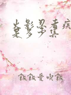 火影忍者疾风传是多少集