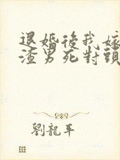 退婚后我嫁给了渣男死对头