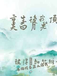 重生后我顶替前夫白月光