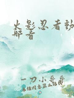 火影忍者动漫从哪看