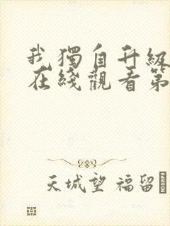 我独自升级动漫在线观看第二季