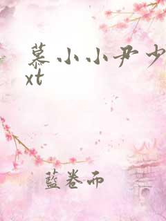 慕小小尹少桀txt