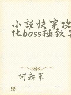 小说快穿攻略黑化boss极致宠