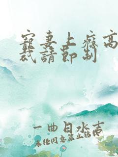 宠妻上瘾高冷总裁请节制