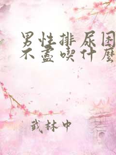 男性排尿困难尿不尽吃什么药