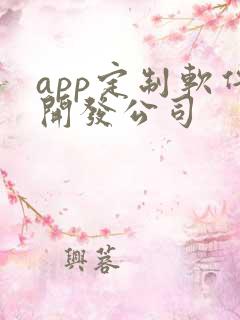 app定制软件开发公司