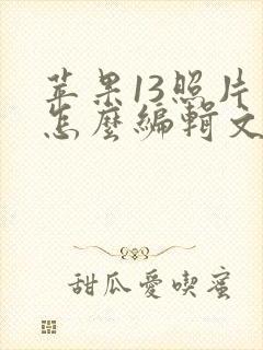 苹果13照片上怎么编辑文字