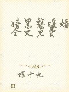 暗黑系暖婚小说全文免费