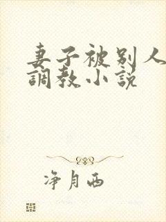 妻子被别人开发调教小说