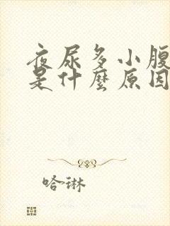 夜尿多小腹坠胀是什么原因