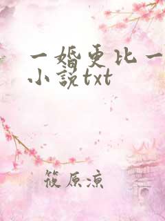一婚更比一婚高小说txt