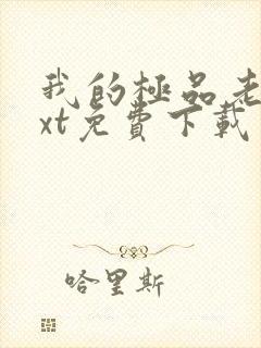 我的极品老婆txt免费下载