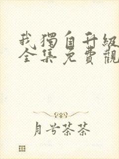 我独自升级动漫全集免费观看第二季