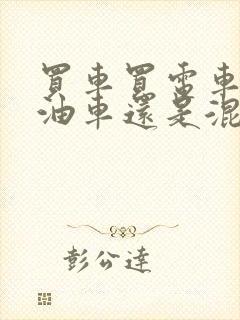 买车买电车还是油车还是混动