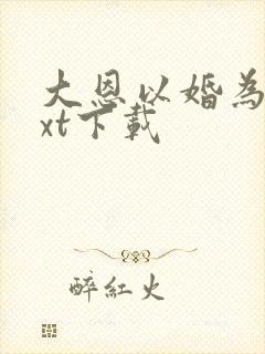 大恩以婚为报txt下载