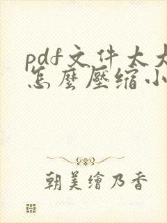 pdf文件太大怎么压缩小
