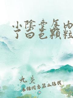 小阴囊唇内侧长了白色颗粒