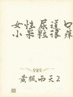 女性尿道口起小小米粒很痒怎么回事