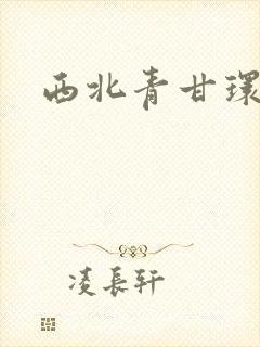 西北青甘环线