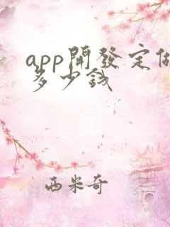 app开发定做多少钱