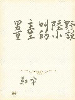 男主叫陆野女主重生的小说