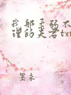 我那柔弱不能自理的夫君txt下载