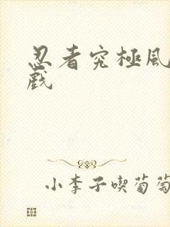 忍者究极风暴游戏