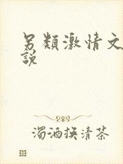 另类激情文学小说