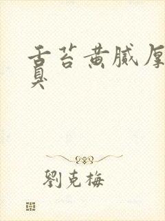 舌苔黄腻厚 口臭