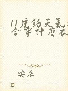 11度的天气适合穿什么衣服