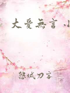 大爱无言 小说