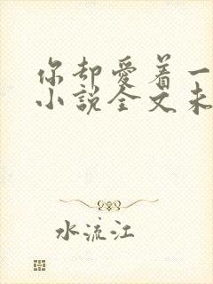 你却爱着一个他小说全文未删减版