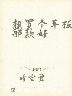 想买个平板画画那款好