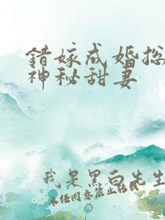 错嫁成婚总裁的神秘甜妻