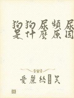 狗狗尿频尿味大是什么原因