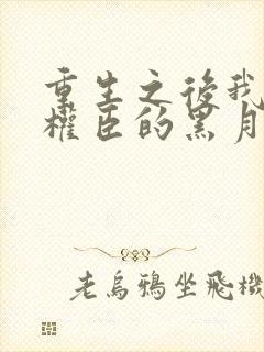 重生之后我成了权臣的黑月光小说