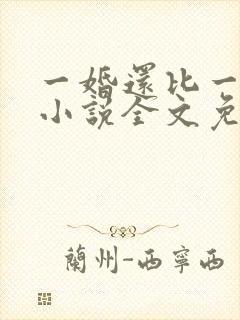 一婚还比一婚高小说全文免费阅读