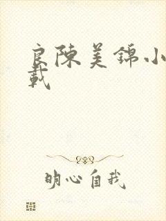 良陈美锦小说下载