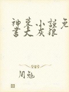 神墓小说免费听书大灰狼